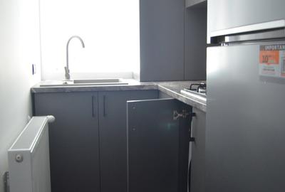 Apartament cu doua camere oferit spre inchiriere - 10