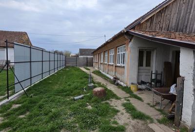 Casă cu 3 camere în Macea - 6