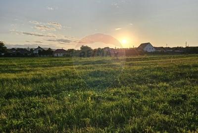 Teren Construcții intravilan de 1495 mp, în Dobreni - 27