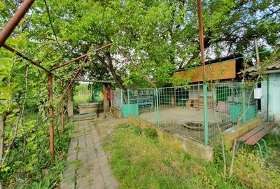 Casă cu 4 camere cu Teren 2038 Mp în Cujmir - 14