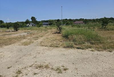 Spațiu comercial, în Făclia - 4