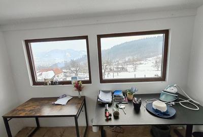 Casă cu Teren 3600 Mp în Bejan - 5