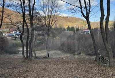 Teren Construcții intravilan de 3540 mp, în Feleacu - 1