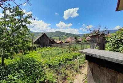 Vanzare casa cu anexe si 5500 mp teren, Valea Ariesului, Salciua - 7