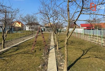 Casă individuală cu 6 camere cu Canalizare în Moșnița Veche - 20