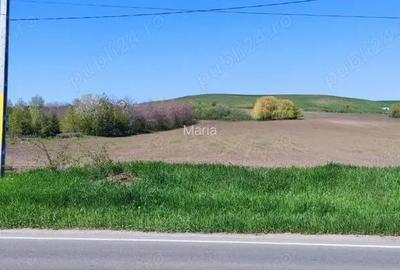 Vand teren 8100 mp Vand teren 8100 mp - 5