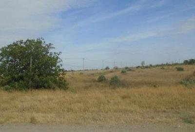 Teren de 11000 mp, în Smârdan - 5