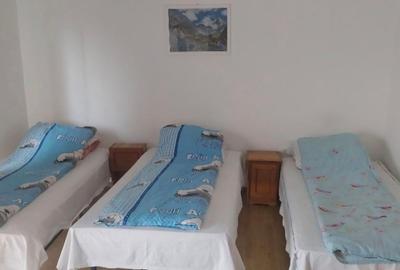 Casă cu 2 camere în Vladimirescu - 2