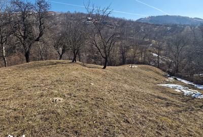 Teren de 4100 mp, în Secăria - 4