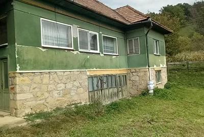Casă cu 3 camere cu Teren 2588 Mp în Central - 7