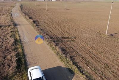 Teren investitie intravilan 3600 mp – Dumbrava Rosie - 5