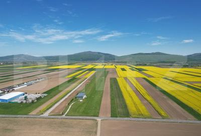 Teren de 17700 mp, în Central - 1