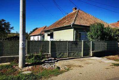 Casă cu 4 camere cu Teren 601 Mp în Central - 5