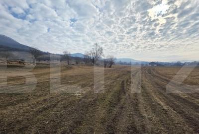 Teren extravilan de vanzare, 72 de arii, zona ?ieu Magheru - 2