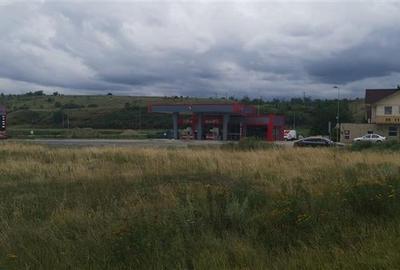Teren extravilan 10400 mp, cu deschidere de 33 ml, zona Racaciuni - 7