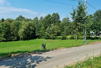 Teren de 2837 mp, în Exterior Vest - 3