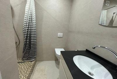 Apartament cu 2 camere decomandat în Gorjului