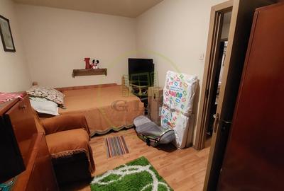 Apartament cu 2 camere semidecomandat, mobilat în Craiovița Nouă - 2