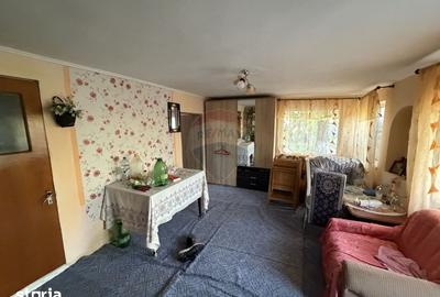 Casă cu 5 camere cu Teren 3818 Mp în Vidra - 9