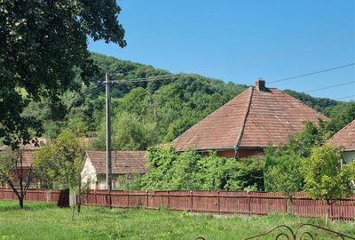 Casă cu 2 camere cu Teren 800 Mp în Iara de Mureș - 2