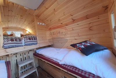 Casă cu 6 camere cu Teren 3900 Mp în Mediaș - 7