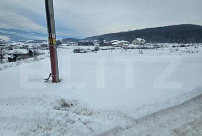 Teren de 990 mp, în Jelna - 4