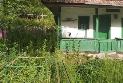 Casă cu 2 camere în Berislăvești - 4