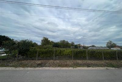 Teren Construcții intravilan de 1000 mp, în Iazurile - 3