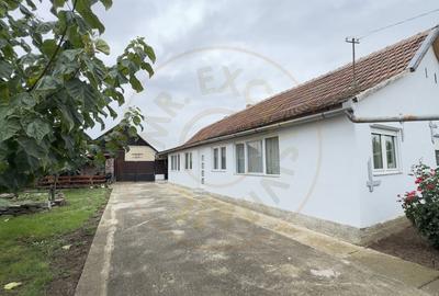 Casa 2 camere, Teren 1525 mp Loc. Tiream , Str. Coloniei Nr.44-Jud. Satu Mare - 2