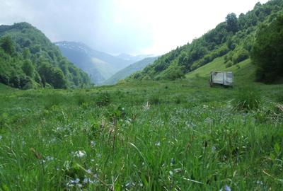 Teren în Central - 6
