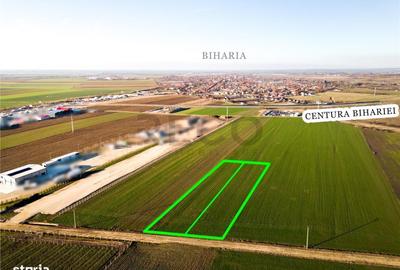 Spațiu comercial, în Biharia - 5