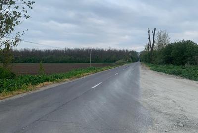 Teren Construcții intravilan de 1562 mp, în Afumați - 9