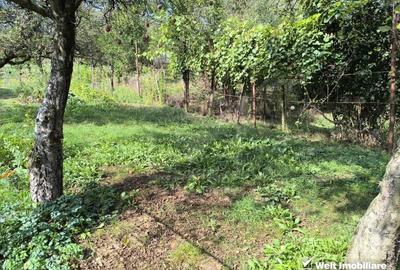 Casa 3 camere, 1398 mp teren, zona Manastirea Floresti - 2