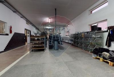 Spațiu industrial, de 1,700 mp, în Stupini - 9
