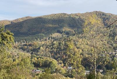 Teren retras panoramic Valea Doftanei 1350 mp panta lina, cu utilitati - 10