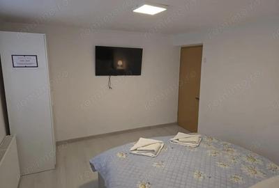 Pensiune la Cheia, moderna, functionala in totalitate, vedere mirifica (chirie) - 30