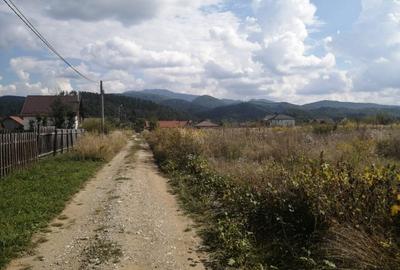 Teren de vanzare Cristian - 3
