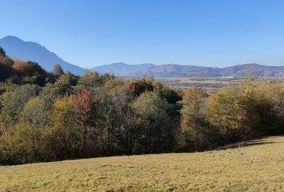 Teren intravilan de 6800 mp, în Tohănița - 4