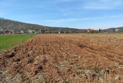 Casă cu 4 camere în Central - 16