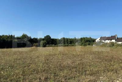 Teren de 3000 mp, în Central