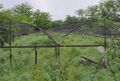 Teren de 1680 mp, în Sintești - 4