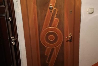 Apartament cu 2 camere semidecomandat în Calea Caransebeșului - 10