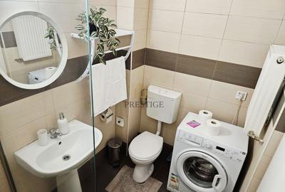 Apartament cu 2 camere semidecomandat, mobilat în Lazaret - 8