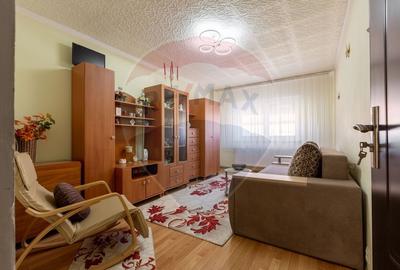 Apartament doua camere Vitrometan Medias - 1