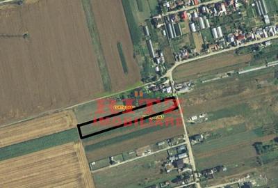 TEREN intravilan S= 5000 mp Curtisoara! - 1