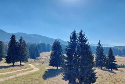 Apartament cu 2 camere decomandat, mobilat în Poiana Brașov - 6