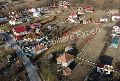 Teren de 1000 mp, în Tutana - 4