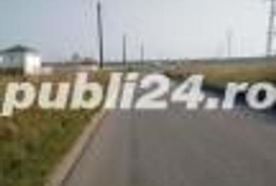 Teren de 30000 mp, în Săbăreni - 5