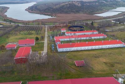 Teren Construcții intravilan de 43708 mp, în Scobâlțeni - 8