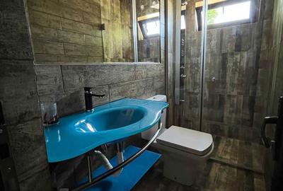 Apartament cu 3 camere decomandat în Sârbi - 4